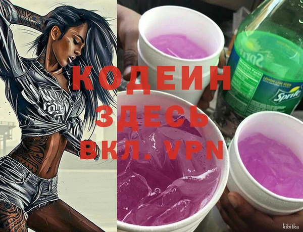 спиды Корсаков