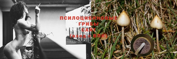 спиды Корсаков