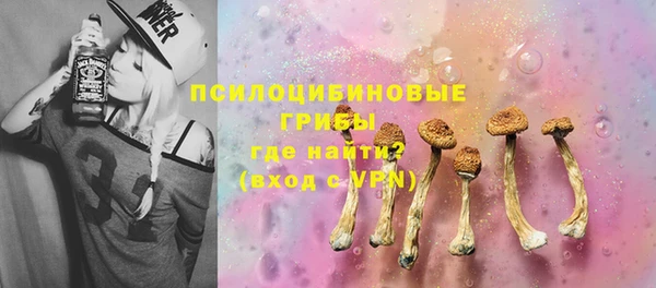 спиды Корсаков