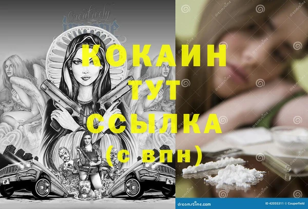 спиды Корсаков