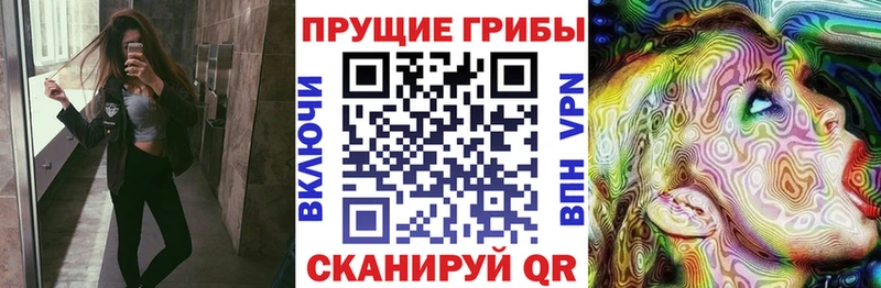 Галлюциногенные грибы мухоморы  Купить закладки  Сланцы 